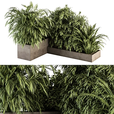 Tropical Plant Box Set 3D model image 1 