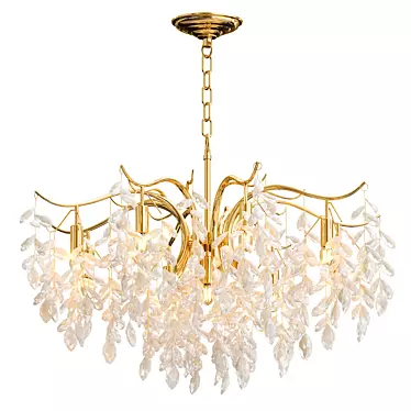 Crystal chandelier