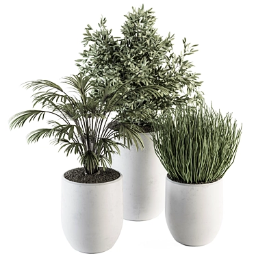 Green Oasis: 3-In-1 Indoor Plant Set 3D model image 1 