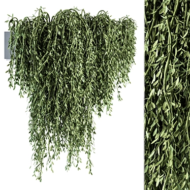 Green Oasis Hanging Plant Set 3D model image 1 