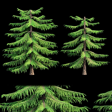 Natural Green Norfolk Island Pine 3D model image 1 