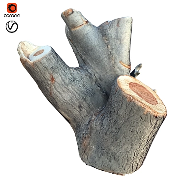 Natural Tree Trunk Decor 3D model image 1 