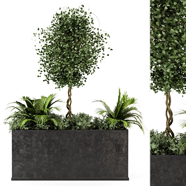 Outdoor Succulent Plants in Concrete Pot 3D model image 1 