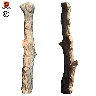 Natural Tree Trunk Decor 3D model image 1 