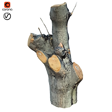 Natural Wood Tree Trunk 39 3D model image 1 