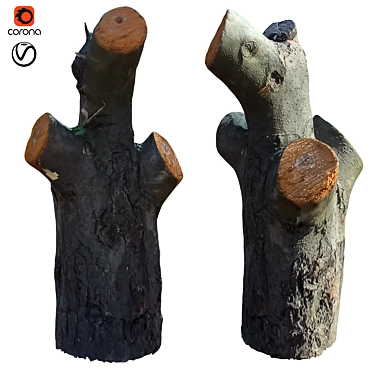 Natural Tree Trunk 40 3D model image 1 
