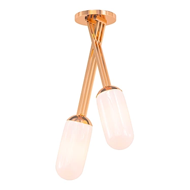 Palisade Double Pendant Light 3D model image 1 