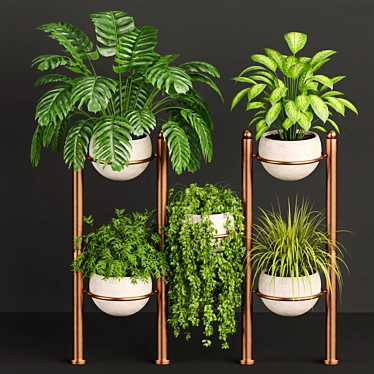 Tropical Oasis Indoor Plants 3D model image 1 