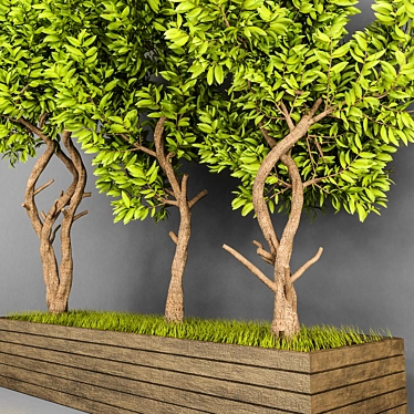 Outdoor Plant Collection Vol. 10 3D model image 1 