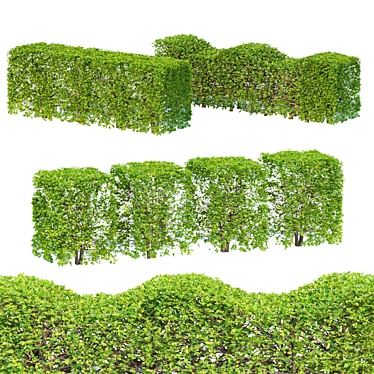 Versatile Outdoor Bush Collection 3D model image 1 