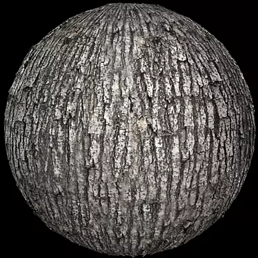 Scanned bark seamless texture 4k