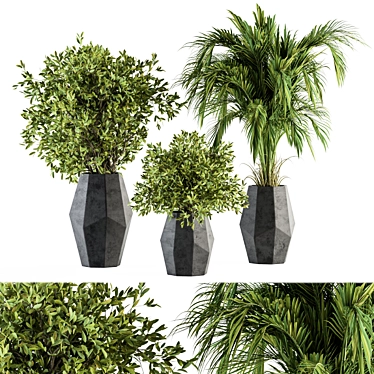304 Indoor Plant Set: Potted Greenery 3D model image 1 