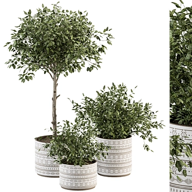 Green Oasis: Indoor Plant Set 3D model image 1 