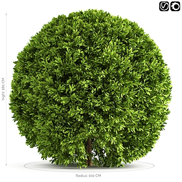 Sleek Spherical Bushes 3D model image 1 