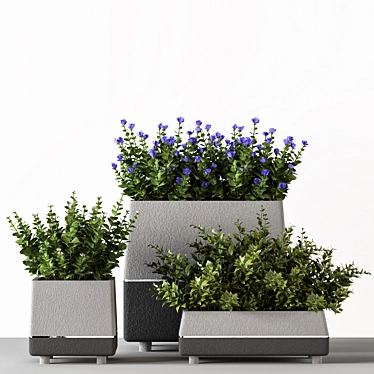 Title: Concrete Pot Outdoor Bushes 3D model image 1 