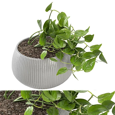 Green Oasis: Indoor Plants Set 3D model image 1 
