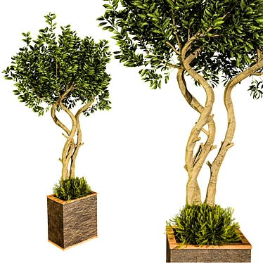 Outdoor Plant Vol 13 - 2015 Version 3D model image 1 