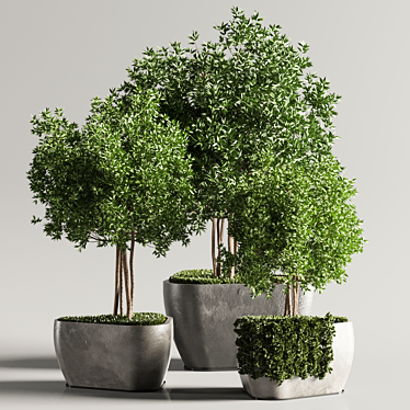 Tropical Plant Set for Gorgeous Interiors 3D model image 1 