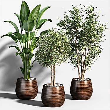 Tropical Greenery Collection 3D model image 1 