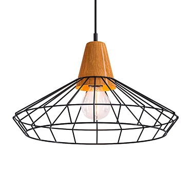 Nordic Hanging Cage Lamp 3D model image 1 
