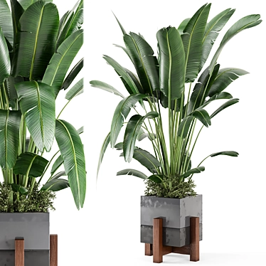 Rustic Concrete Pot Indoor Plants 3D model image 1 