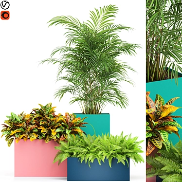 589 Plants Collection: Atelier Belge - Exquisite Greenery 3D model image 1 