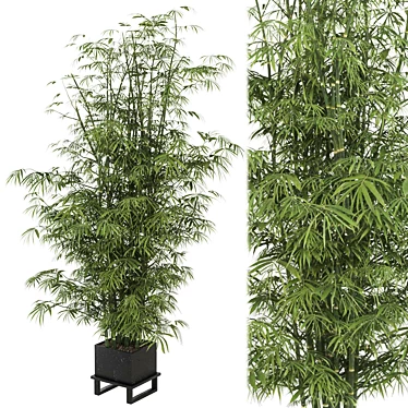  Lush Indoor Plants in Ferm Living Bau Pot Set 3D model image 1 