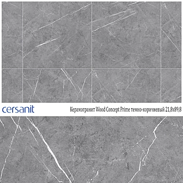 Gray Oriental Porcelain Tile - Cersanit 3D model image 1 