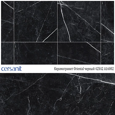 Cersanit Oriental Black Porcelain - 42X42 3D model image 1 