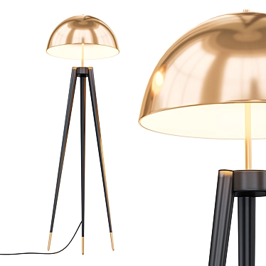 Romatti Fife Tripod Lamp 3D model image 1 