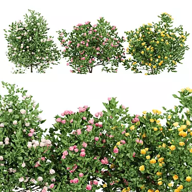 Blooming Bushes Variety Set 3D model image 1 