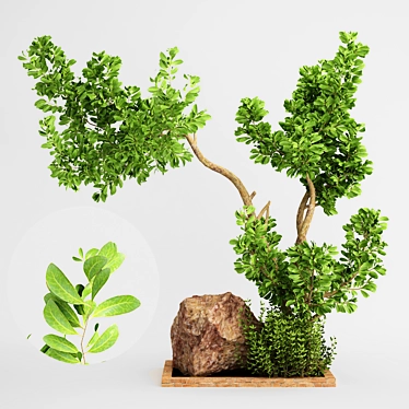 2015 Outdoor Plant Vol 15: Beautiful and Durable Greenery 3D model image 1 