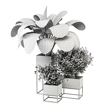 2015 Indoor Plants Set: V-Ray/Corona 3D model image 1 