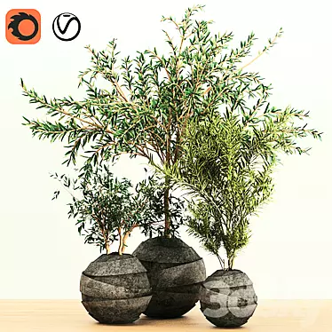 Indoor Plant Trio with Unique Pot 3D model image 1 