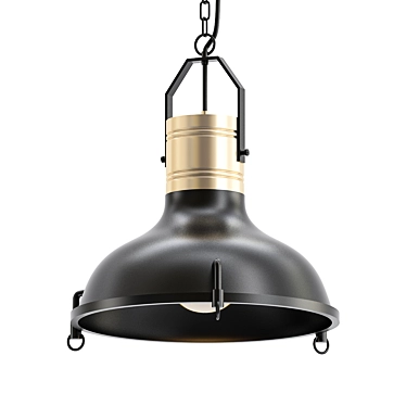 Sleek Raw Black Pendant Lamp 3D model image 1 