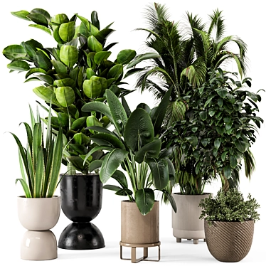 Ferm Living Bau Pot Large - Set 290: Stylish Indoor Plants 3D model image 1 