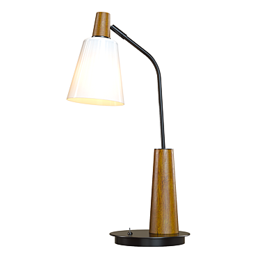 Stylish Shinola Book Desk Lamp 3D model image 1 