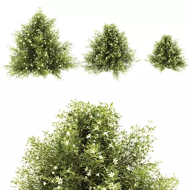 Premium Plant Collection: Perfectly crafted high-quality models and materials 3D model image 1 