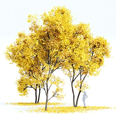 Autumn Acer Tree Collection 3D model image 1 