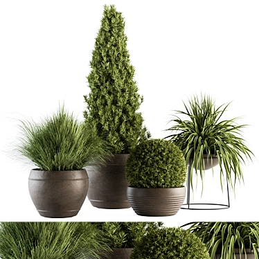 Outdoor Greenery Ensemble: 312 - Plant & Tree Set 3D model image 1 