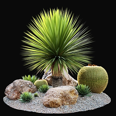 Australian Garden Set: Yucca, Cactus, Agave & Rocks 3D model image 1 