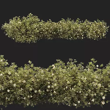 Premium Quality Bush Plant 3D model image 1 