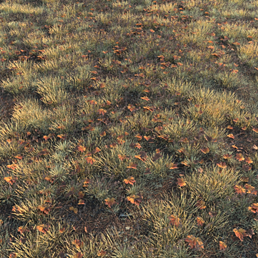 Autumn Grass Collection: 6 Types 3D model image 1 
