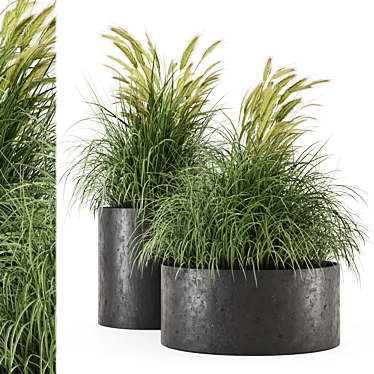 Rustic Concrete Pot with Outdoor Bush 3D model image 1 