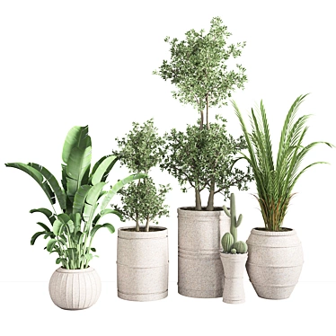 Indoor Greenery Collection 3D model image 1 