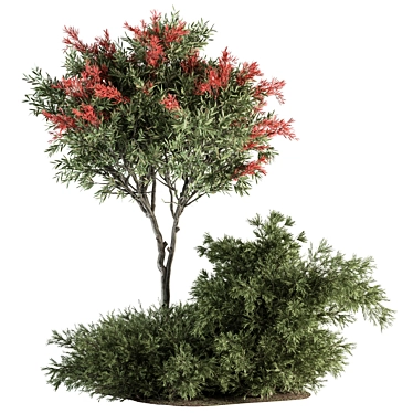 Spectacular Red Crape Myrtle Set 3D model image 1 