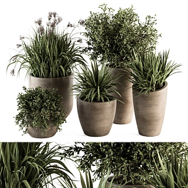 Concrete Pot Plant Set: Yuka & Bush 3D model image 1 