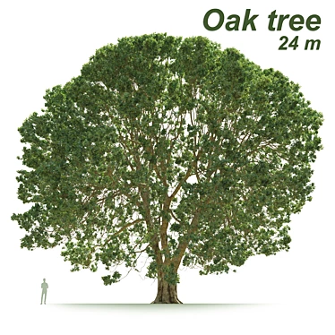 Ancient Oak Tree - 24m Tall 3D model image 1 