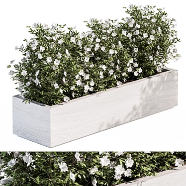 EcoGarden Plant Box Set 3D model image 1 