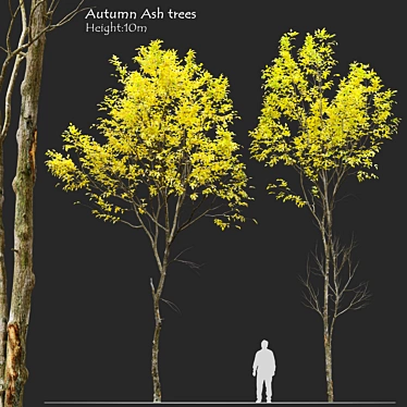 Autumn Jungle Trees Set 3D model image 1 